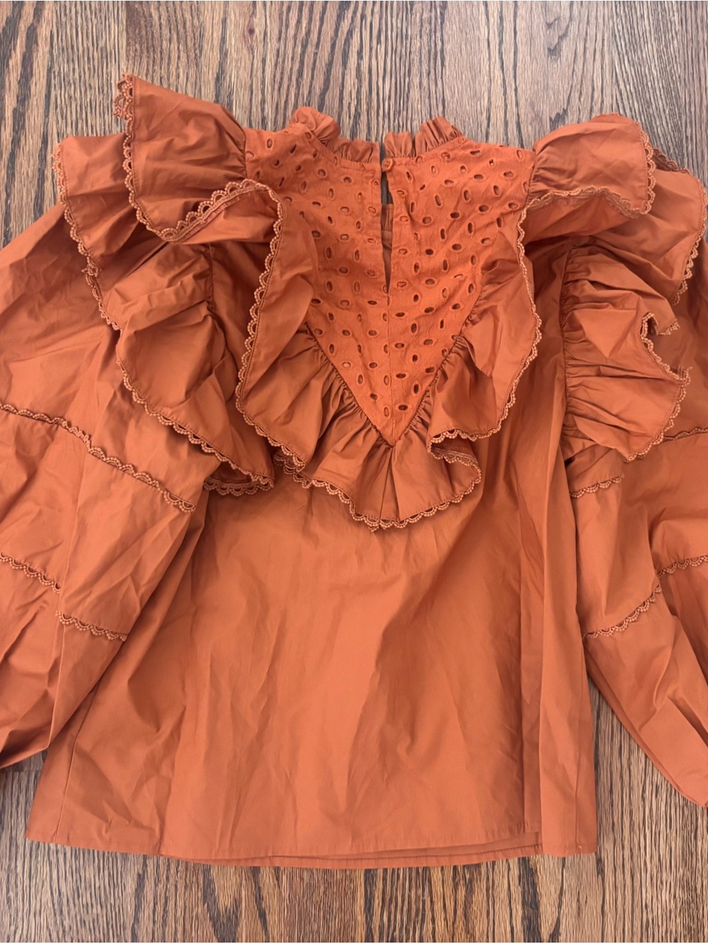 Ruffled Eyelet Blouse in Rust by Shop the mint - Picture 4 of 6